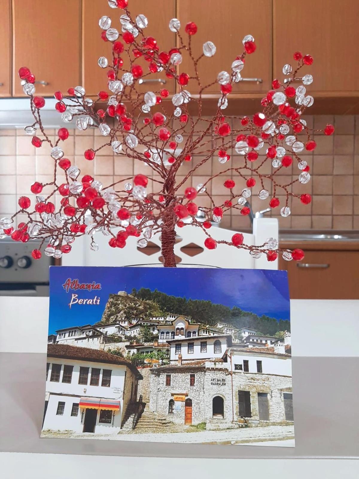 Vangert Apartment Μπεράτ Εξωτερικό φωτογραφία